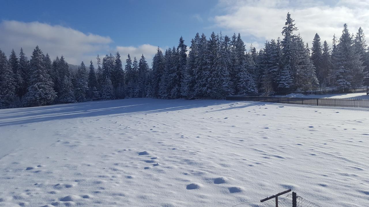 Lesne Zacisze Murzasichle Exterior foto